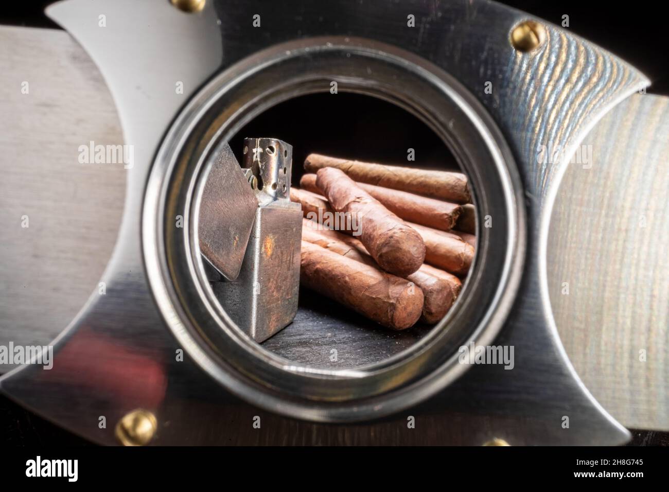 Closeup of cigars in humidor. Expensive cigar, humidor and cutter Stock