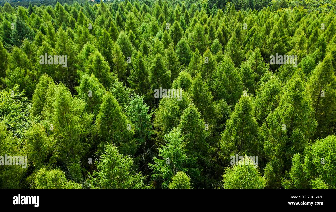 Aerial static top down view hi-res stock photography and images - Alamy