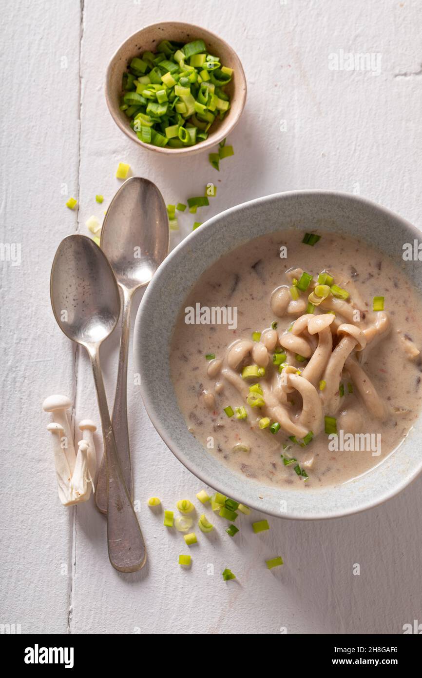 Creamy shimeji mushroom soup as aromatic Japanese cuisine. Japanese