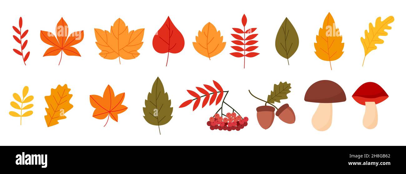Colorful set with autumn elements flat style eps 10 Stock Vector Image ...