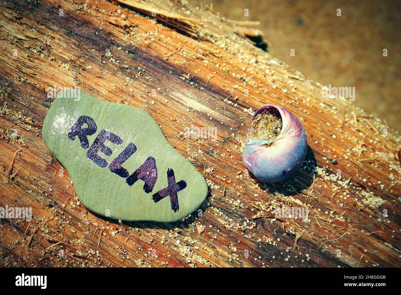 Seashell script hi-res stock photography and images - Alamy