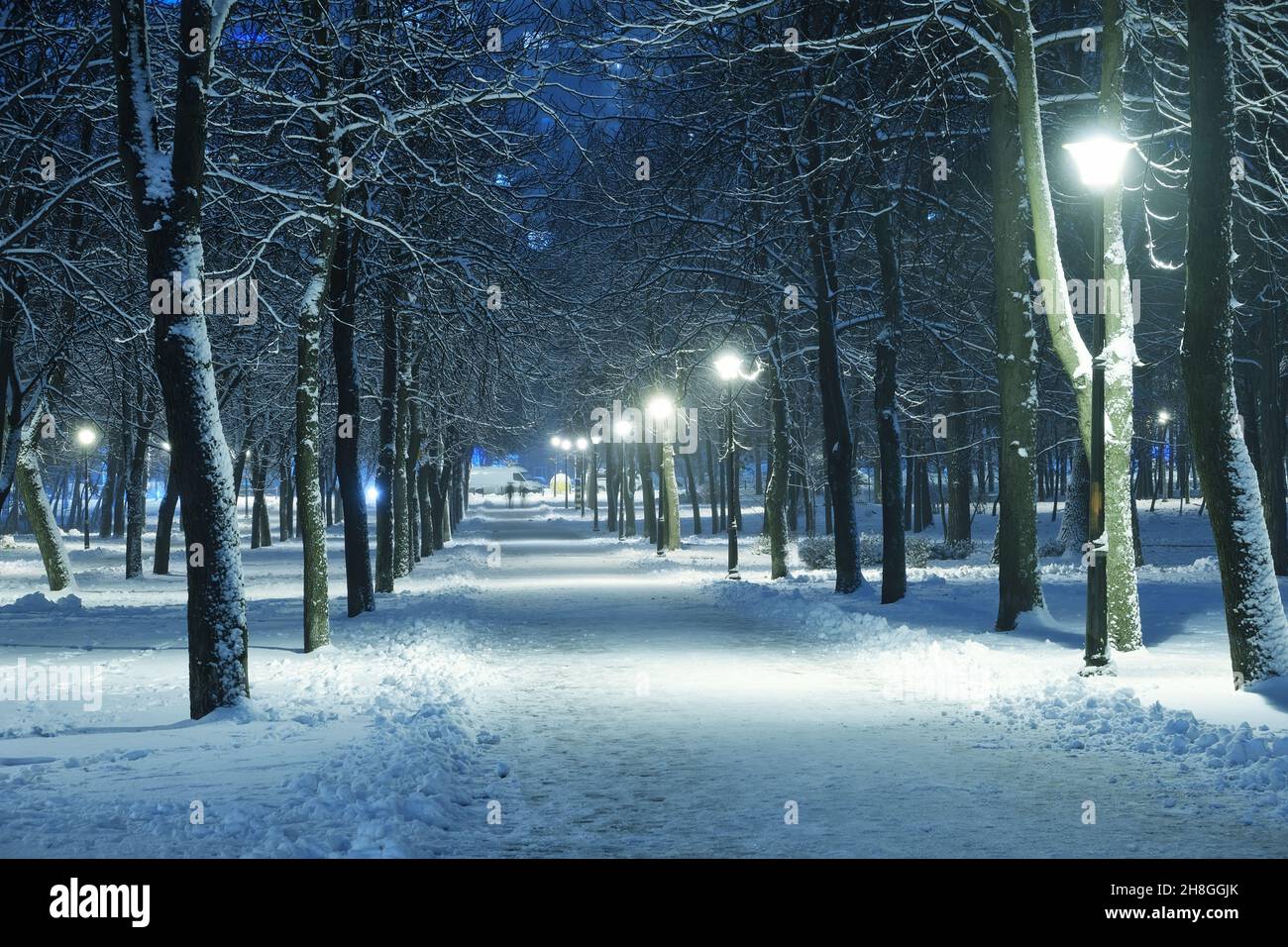 Winter park in the evening covered with snow with a row of lamps Stock ...