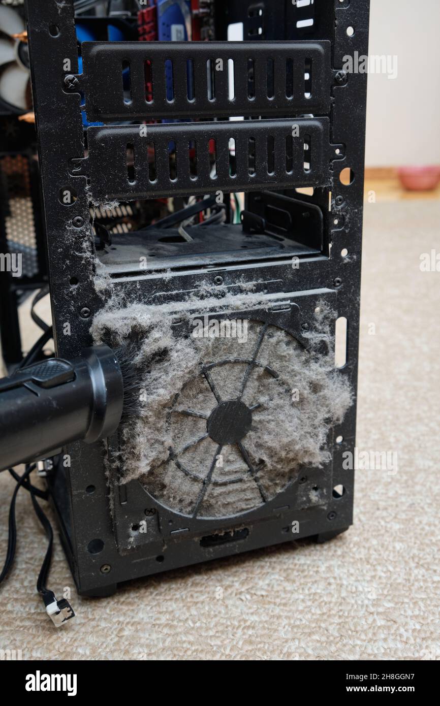 Cleaning the system unit of a desktop computer from dust with a vacuum