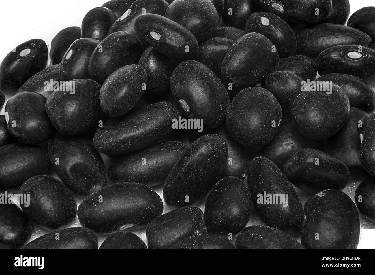 Black beans on white background Stock Photo