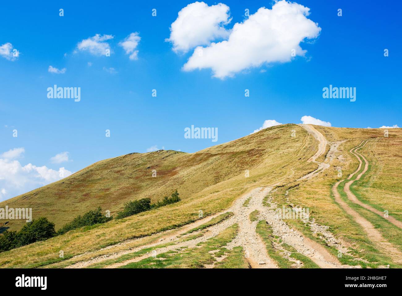 tourist path winding uphill the mountain ridge. carpathian landscape ...