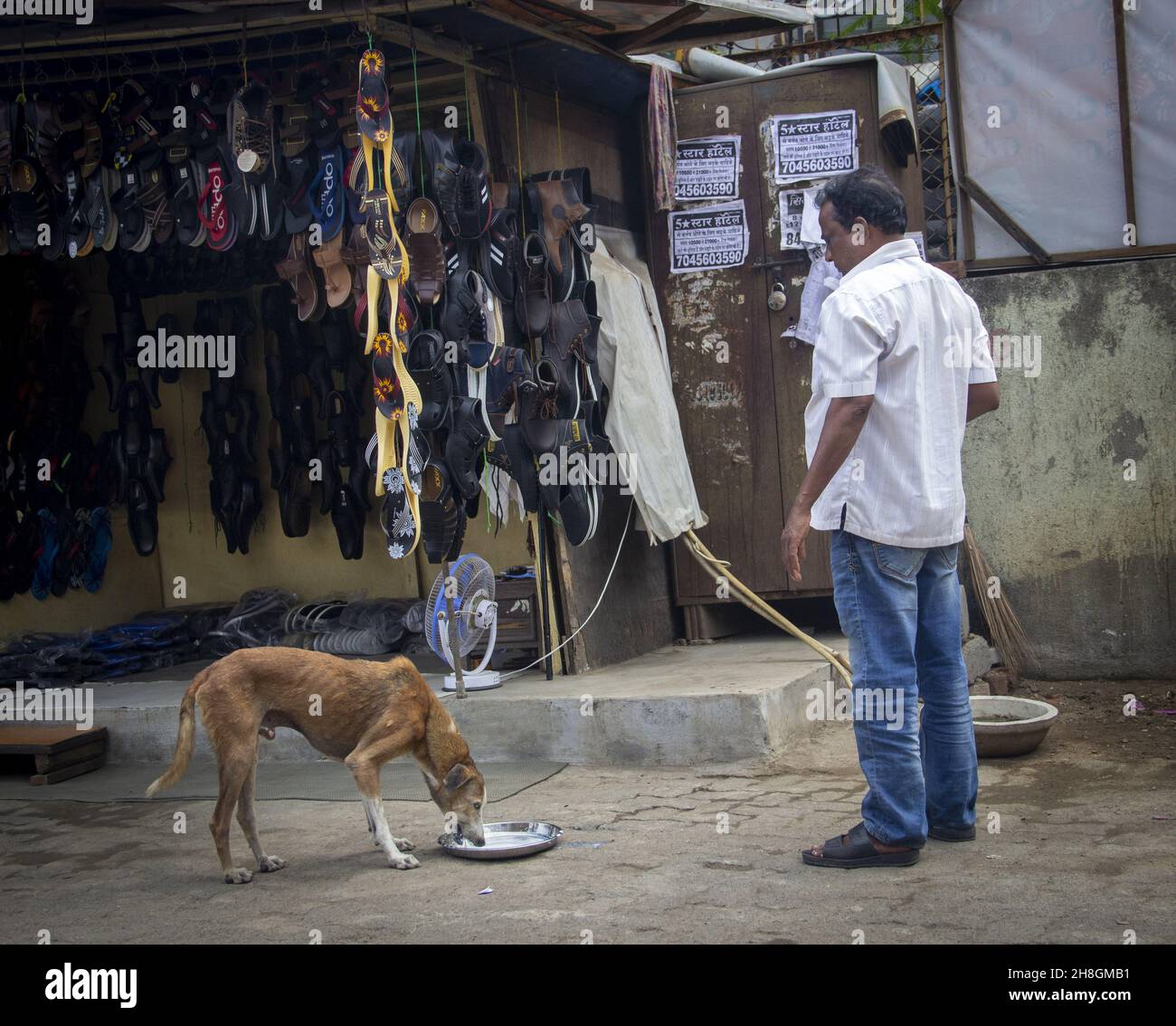 MUMBAI, INDIA - Nov 18, 2021: A street dog having food and a man watching him in front of a slipper shop Stock Photo