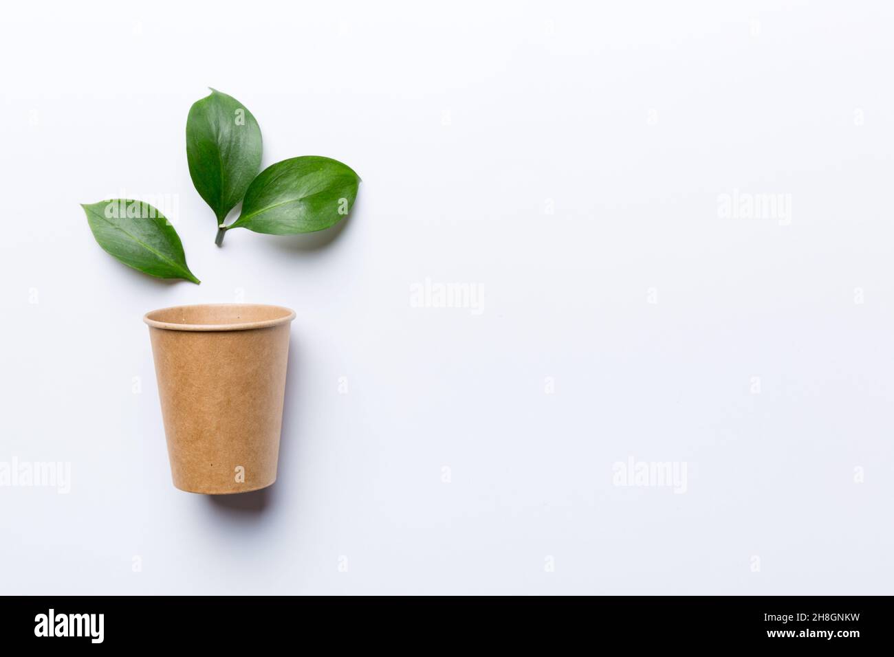 Zero waste cup with green leaf, environmentally friendly, disposable