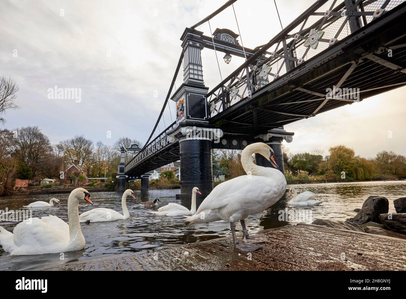 Ferry Bridge, Burton Upon Trent, Victorian pedestrian bridge over the River Trent in Staffordshire, England Stock Photo