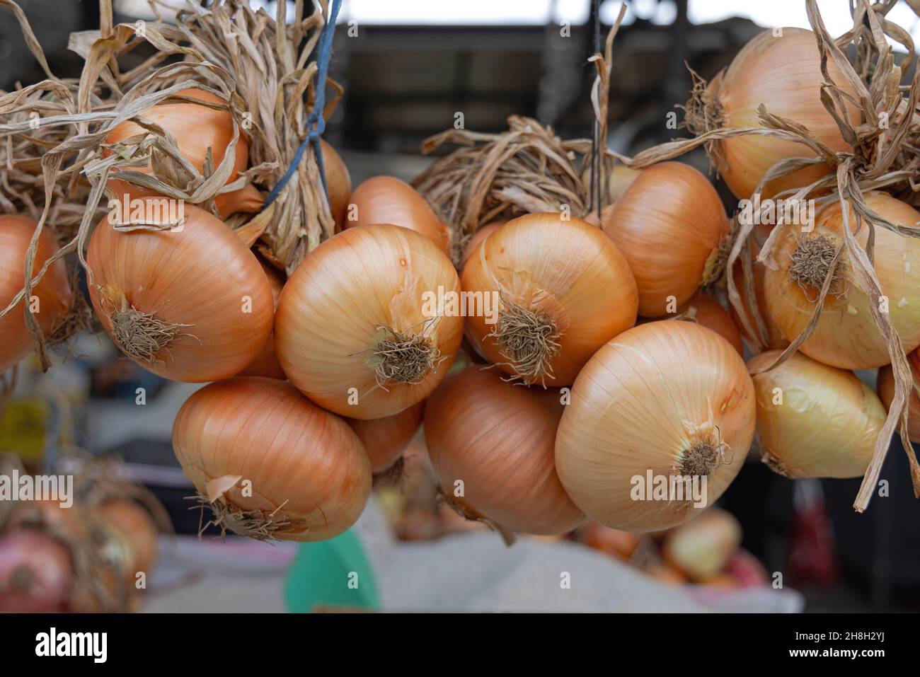 Yellow big onions hi-res stock photography and images - Alamy