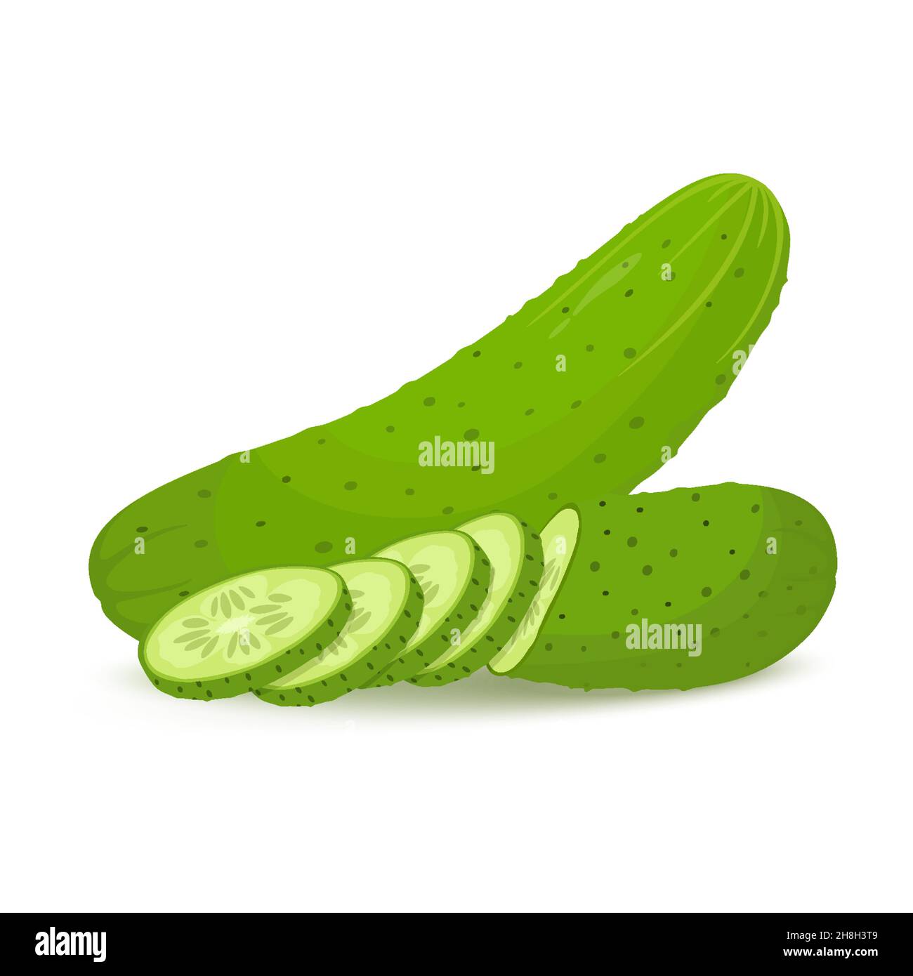 Cucumbers in flat style. Whole cucumber and slices .Vegetable organic