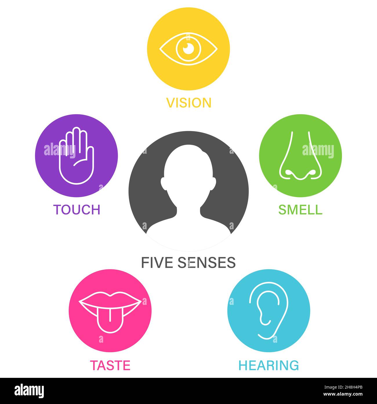 Five senses of human nervous system icon vector illustration, Simple ...