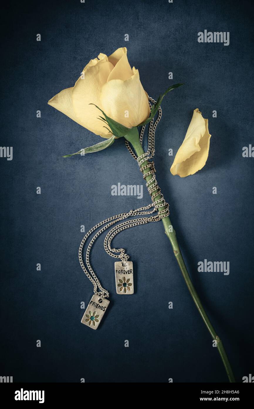 Yellow rose with two necklaces with pendants inscribed Friends and Forever Stock Photo
