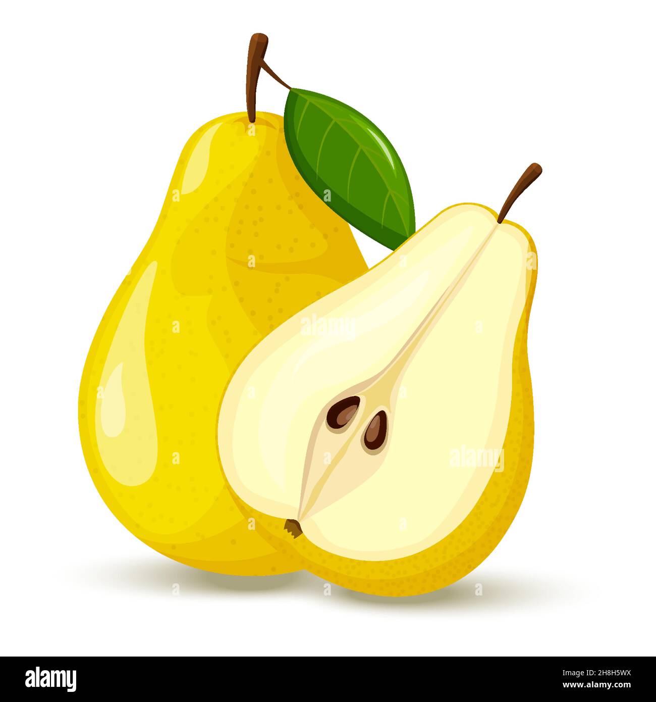 Fresh ripe pears set whole organic yellow Vector Image