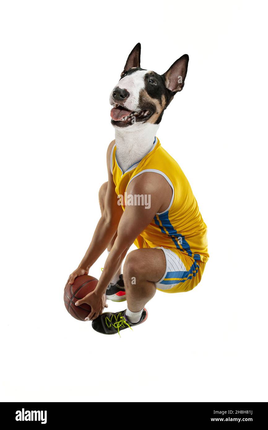 Contemporary artwork, conceptual collage. Young man, professional