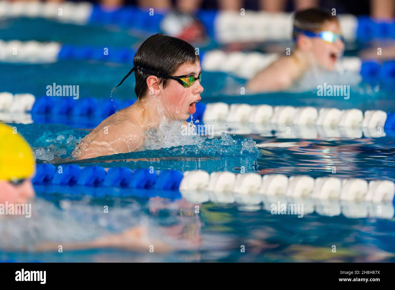 swimmer in the swiming pool do the breaststroke Stock Photo