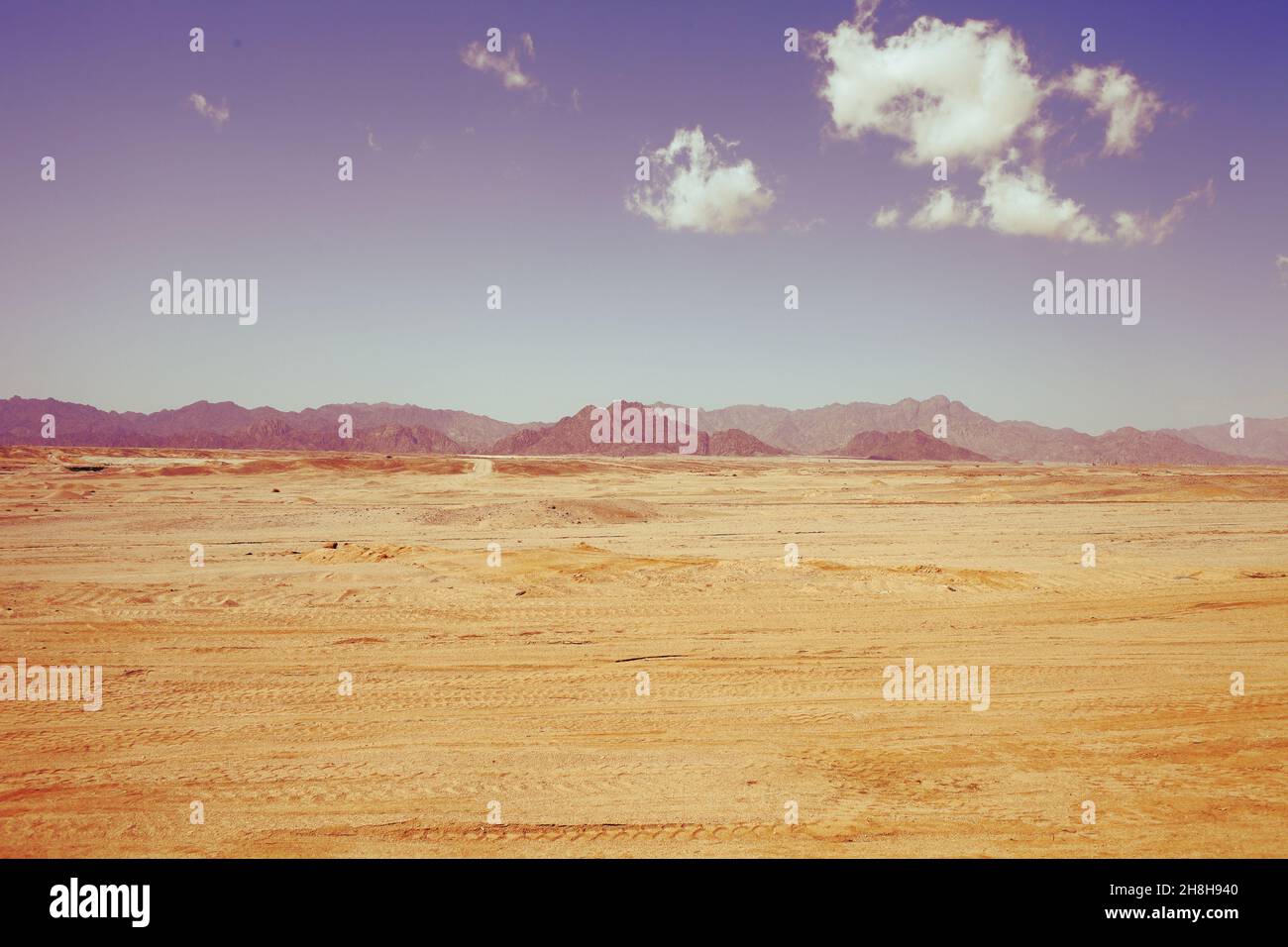 Desert terrain covered with a pattern of tire treads. Stock Photo