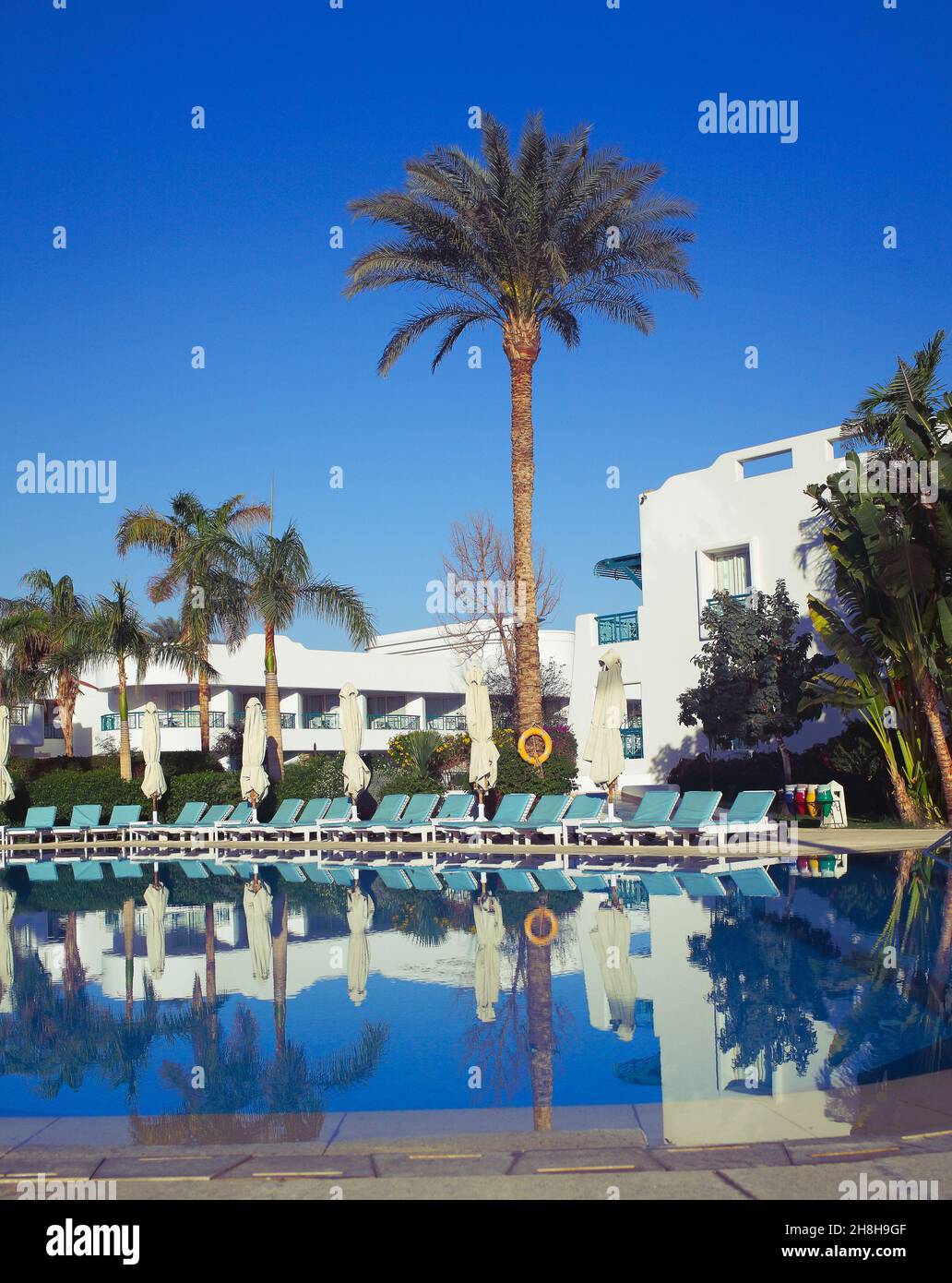 Swimming pool surrounded by sun beds and palm trees under at the hotel. Stock Photo