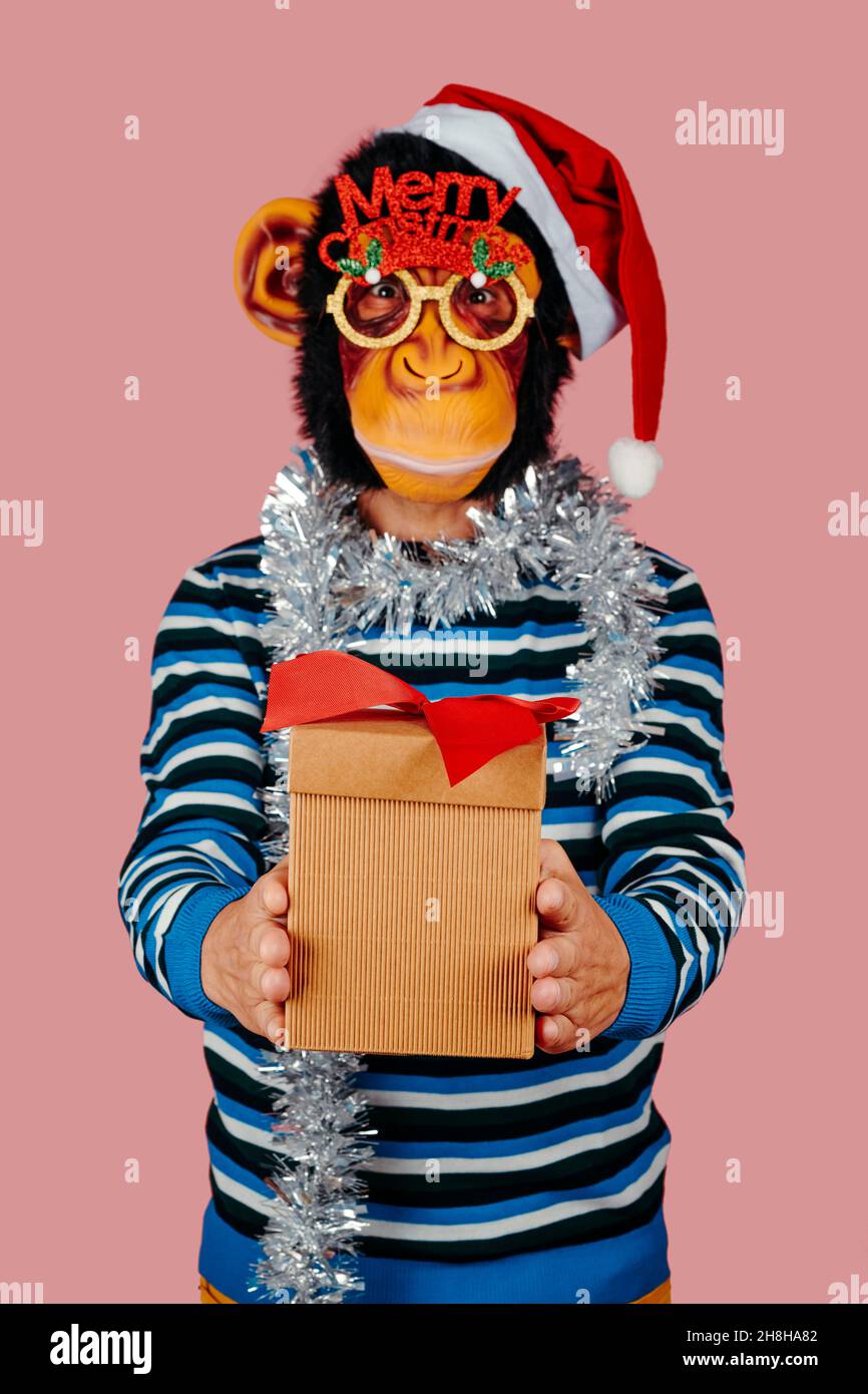 closeup of a funny man giving a present wearing a monkey mask, a santa hat, a pair of eyeglasses with the sentence merry christmas, and silver tinsel Stock Photo