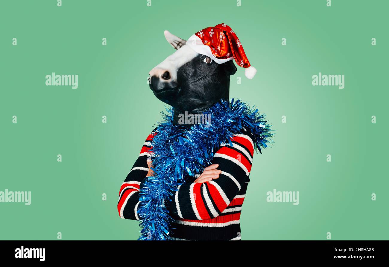 a funny young man, wearing a cow mask, a santa hat and a strip of blue tinsel around his neck, standing on a green background Stock Photo