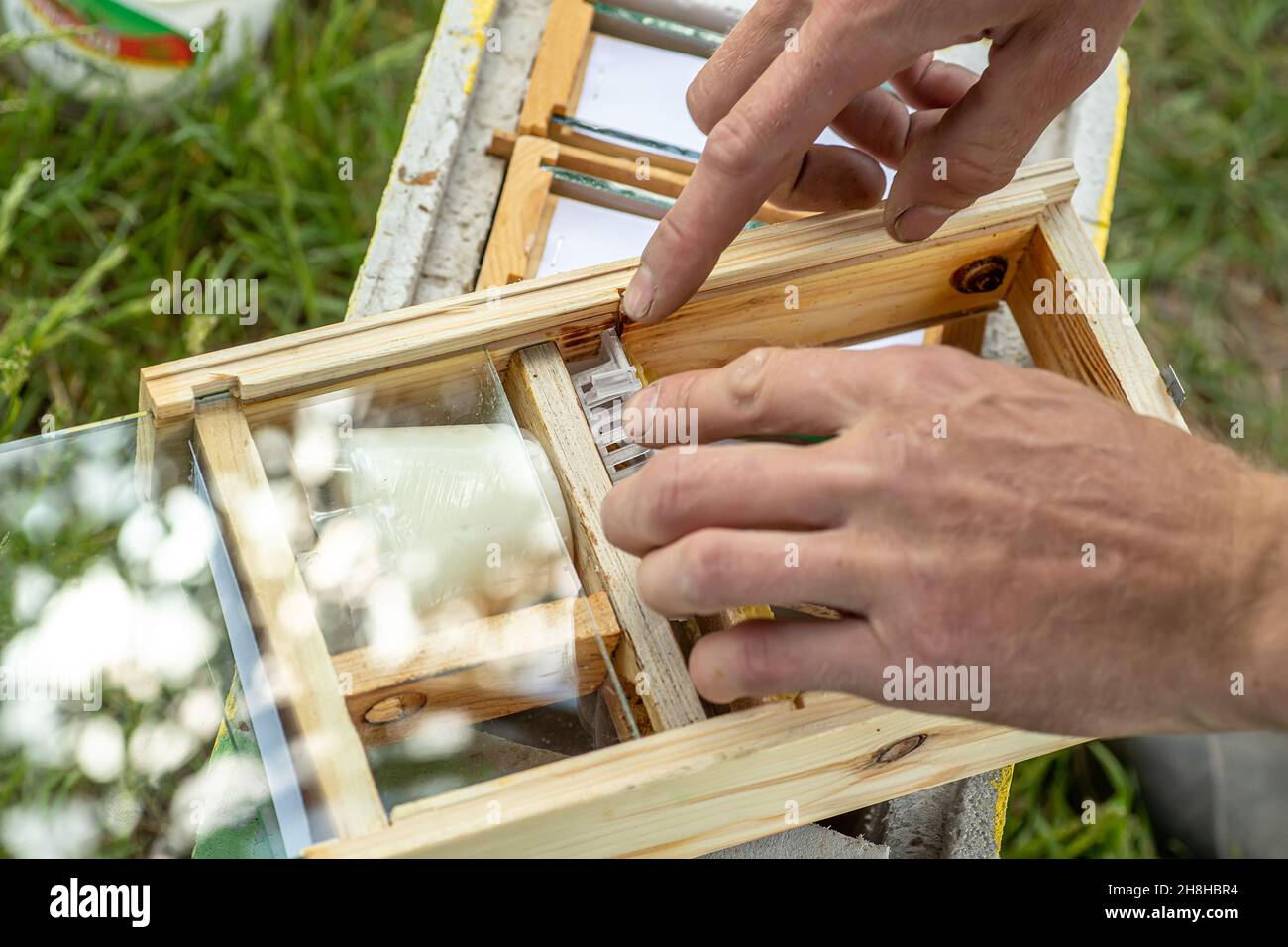 Beekeeper holding a small Nucleus with a young queen bee. Breeding of