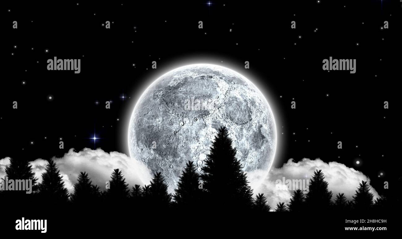 Composition of full moon and silhouette trees against star field at night with copy space Stock Photo