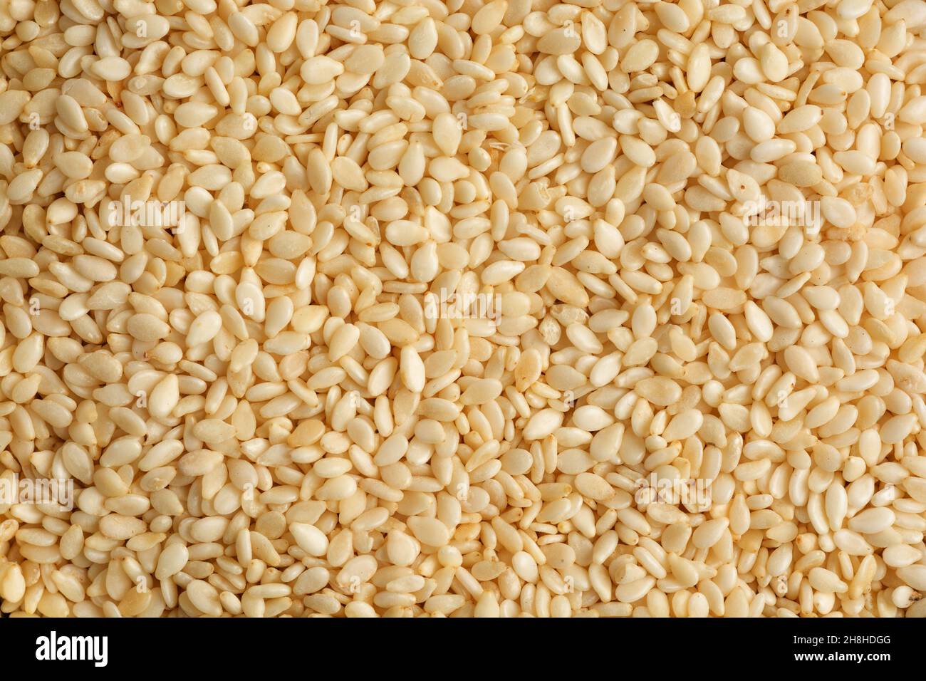 White sesame seeds background close up. Stock Photo