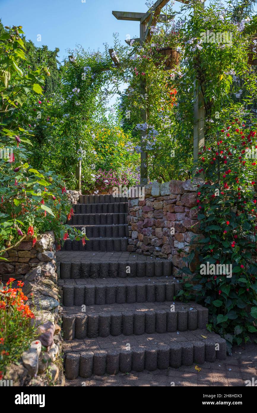 flowers and stone stairsin a garden in holland Stock Photo