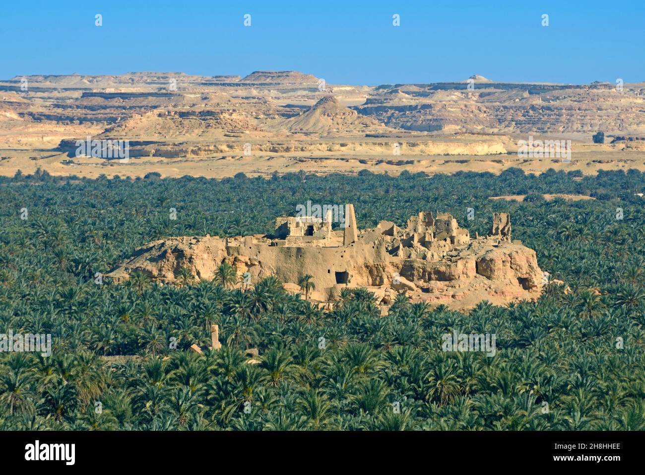 Egypt, Libyan desert, governorate of Marsa Matruh, Siwa oasis, Aghurmi