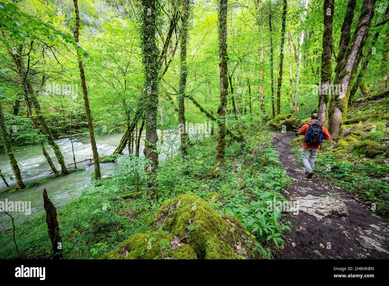 France, Doubs, Ornans, Ouhans, Via Francigena, gorges de la Nouaille, rivière de la Loue, one of the most beautiful parts of the itinerary Stock Photo