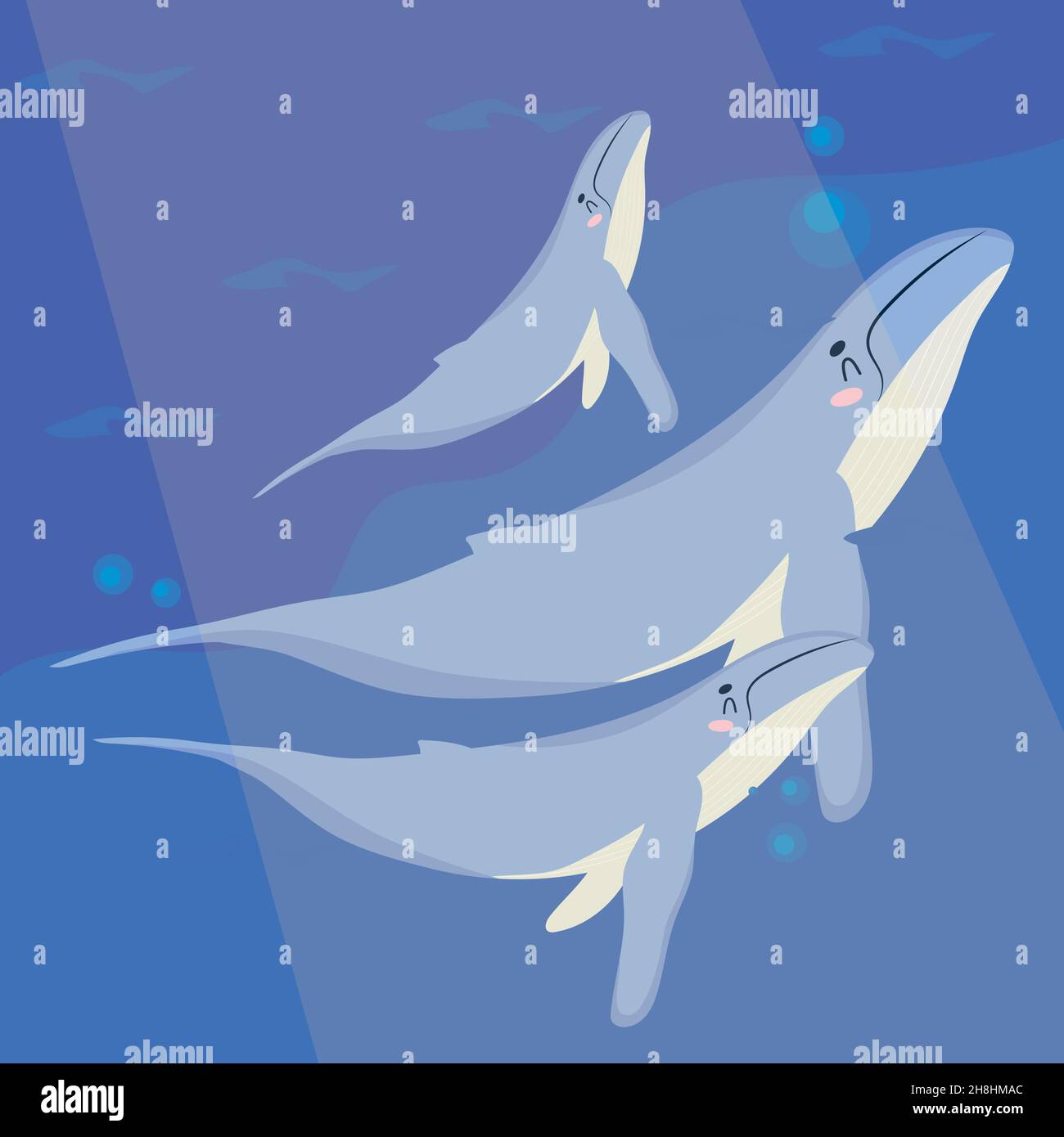 baby whales poster on sea Stock Vector Image & Art - Alamy