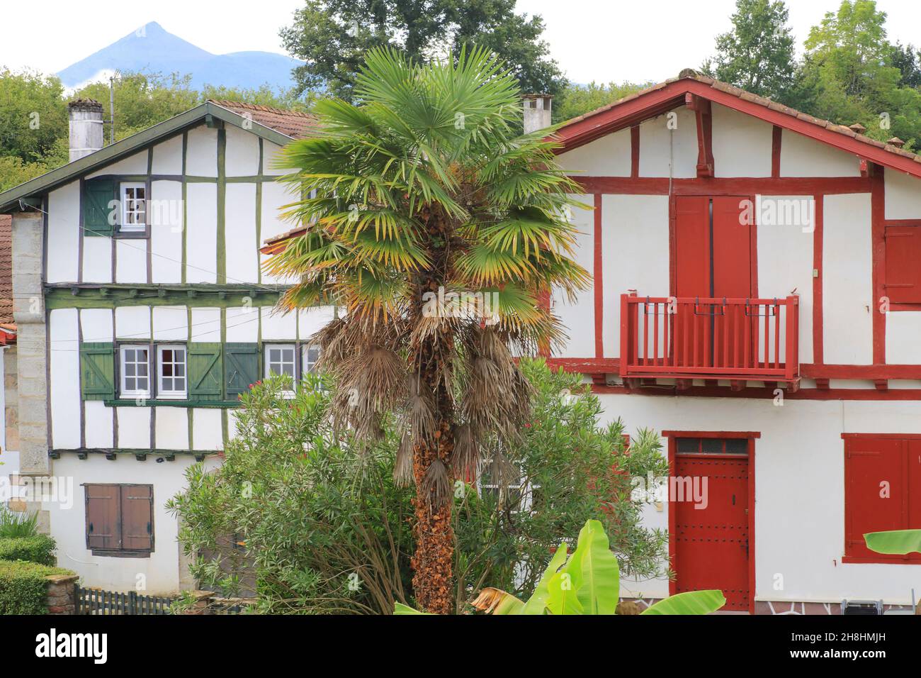 France, Pyrenees Atlantiques, Basque Country, Ainhoa (labeled The most beautiful villages of France), Labourdine houses and a palm tree with visible timber frames Stock Photo