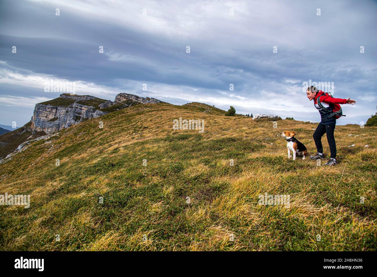 France, Savoie, massif and Bauges regional nature park, Aillon-le-Jeune, Sentier des Tannes and glaciers, young hiker and his dog fighting the wind at the top of the resort (MR yes) Stock Photo