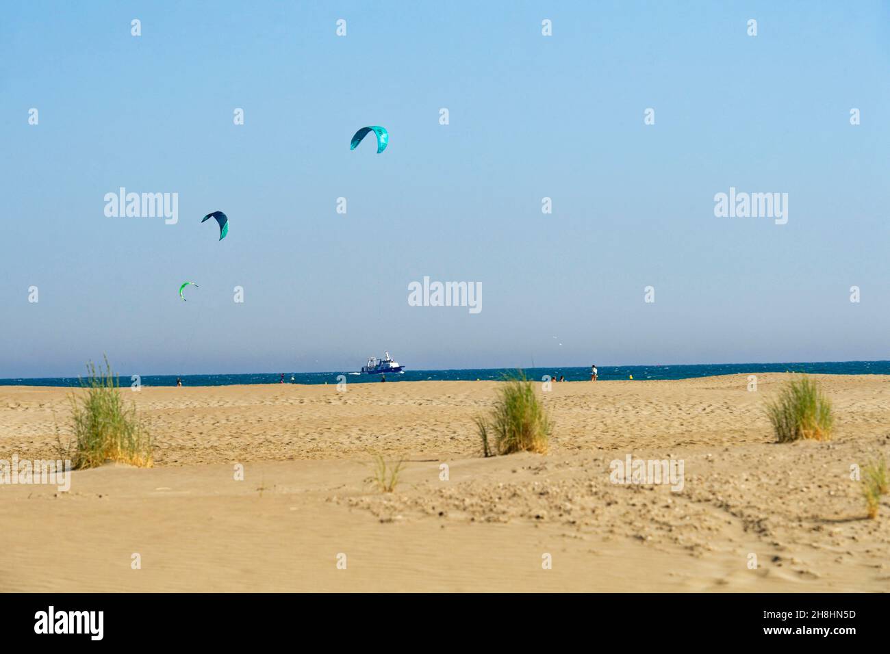 France, Gard, Camargue, Le Grau du Roi, Espiguette beach, the conservation area of the dunes of Espiguette Stock Photo