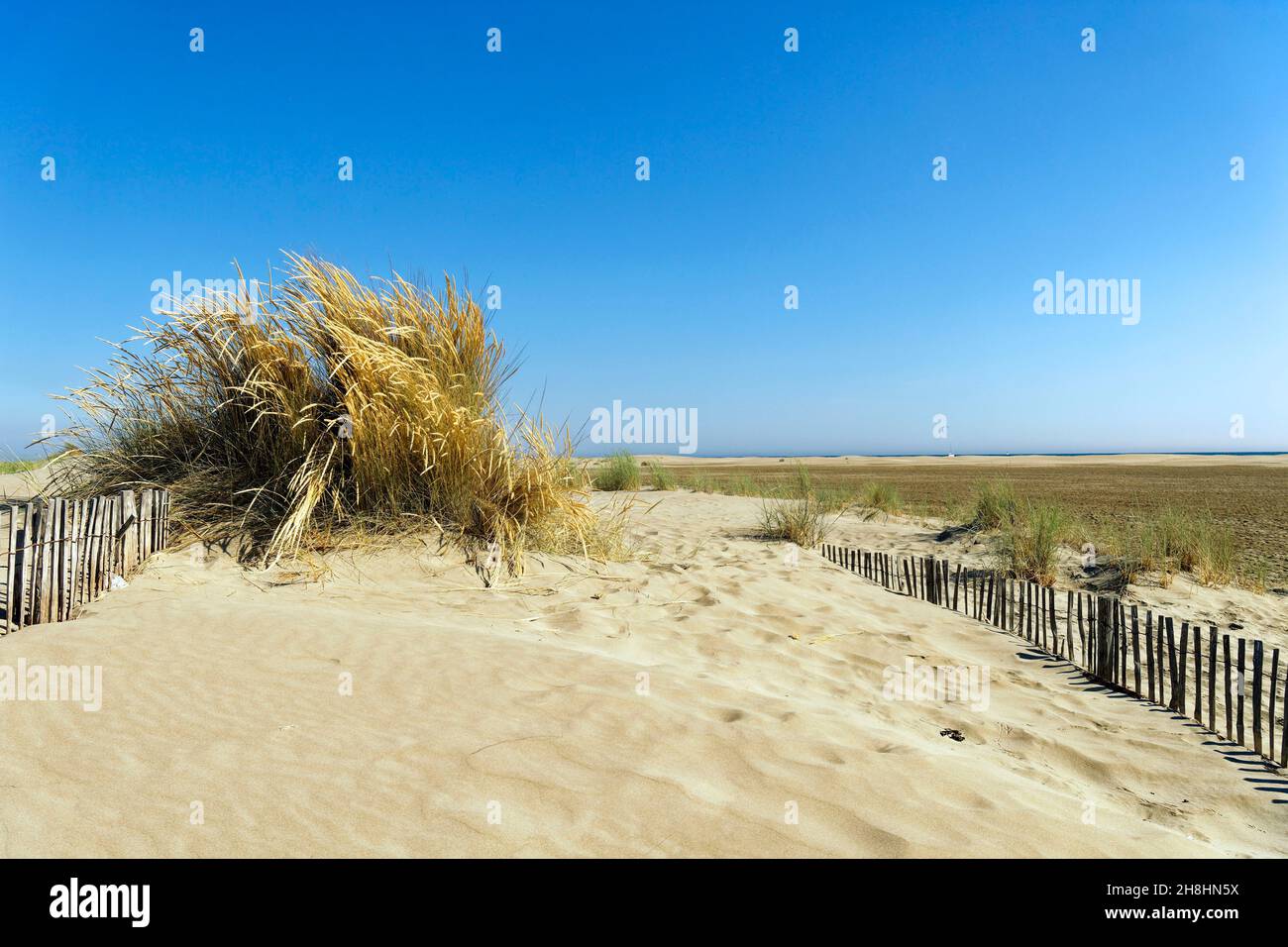 France, Gard, Camargue, Le Grau du Roi, Espiguette beach, the conservation area of the dunes of Espiguette Stock Photo