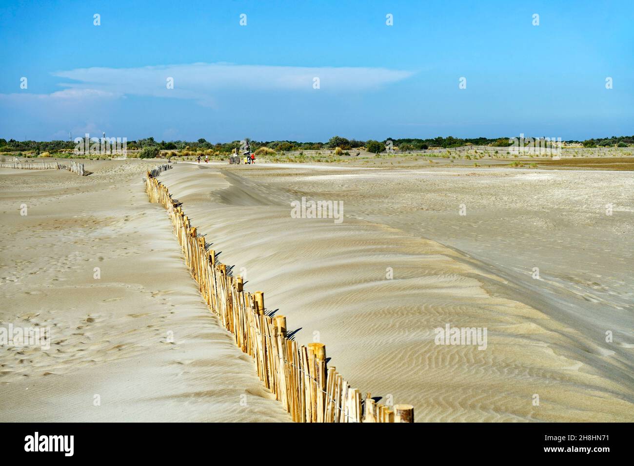 France, Gard, Camargue, Le Grau du Roi, Espiguette beach, the conservation area of the dunes of Espiguette Stock Photo