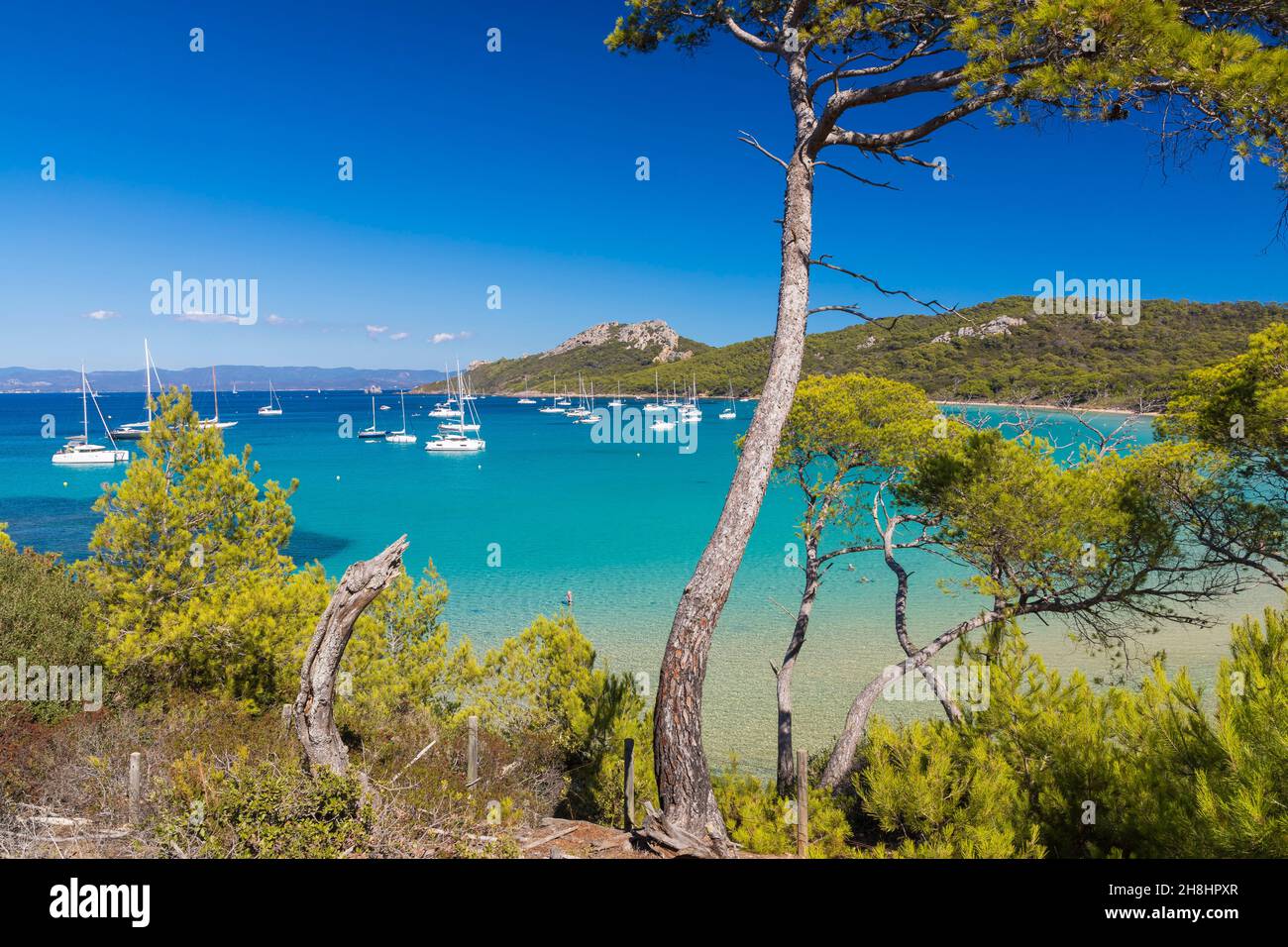 France, Var, Hyeres, Iles d'Hyeres, national park of Port-Cros, Porquerolles  island, Alycastre bay, Notre Dame beach Stock Photo - Alamy