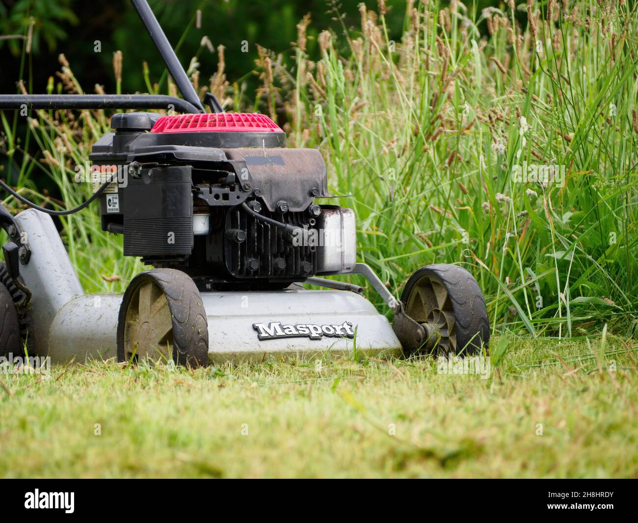 Briggs and online stratton masport mower