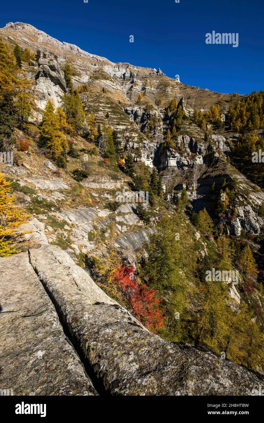 France, Hautes-Alpes, Champsaur valley, Saint-Jean Saint-Nicolas, hike in  moutain terrain, off trail, around the arch located in the midst of of  Famourou needles Stock Photo - Alamy