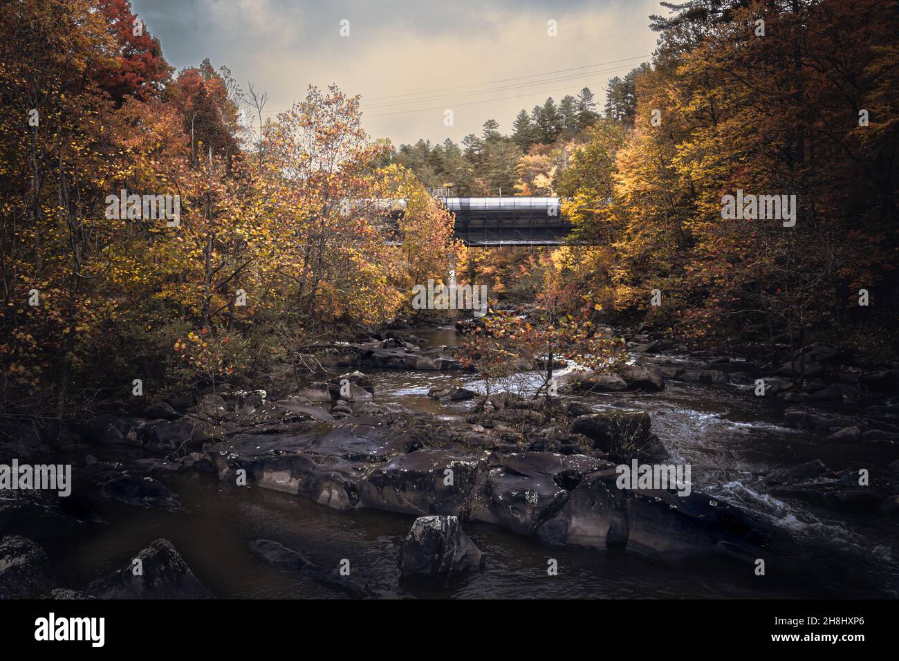 Taken in the Great Smokey Mountains near Gatlinburg Tennessee. A