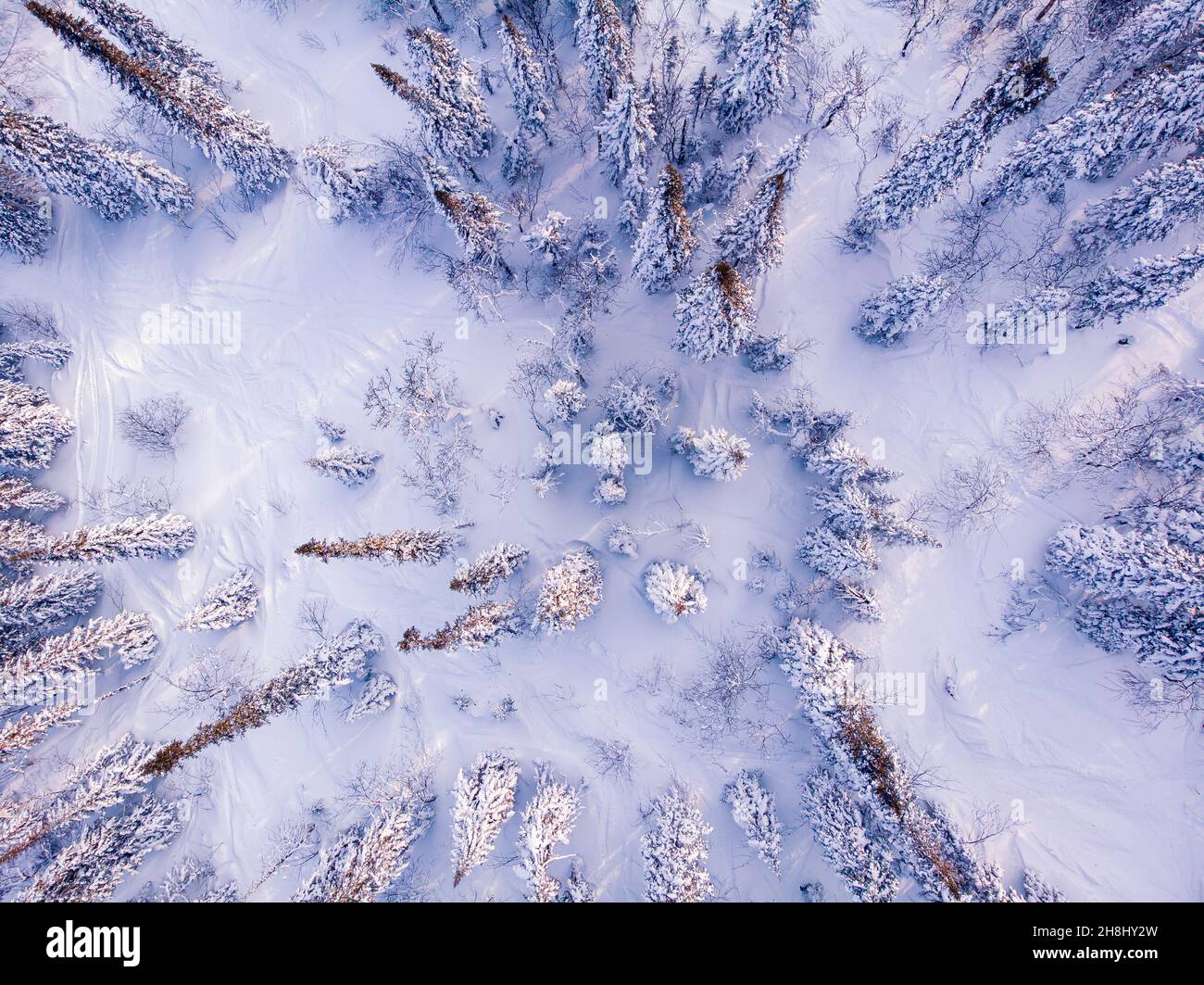 Drone flight above frozen field hi-res stock photography and images - Alamy