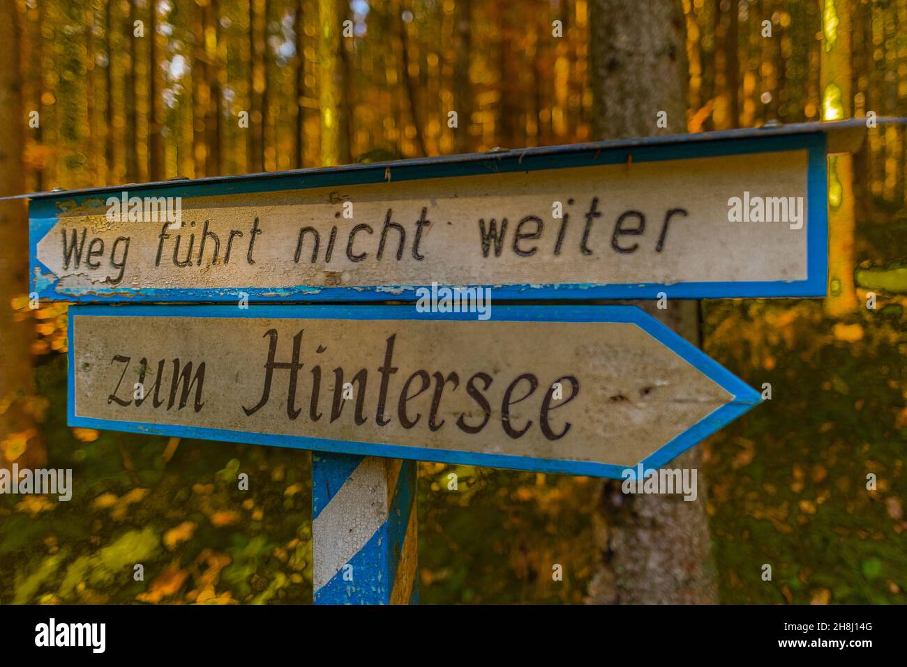 Fingerpost  info 'Dead end hiking trail' in Zauberwald or Magic Wood  near Hintersee in autumn colors, Ramsau, Upper Bavaria, Southern Germany Stock Photo