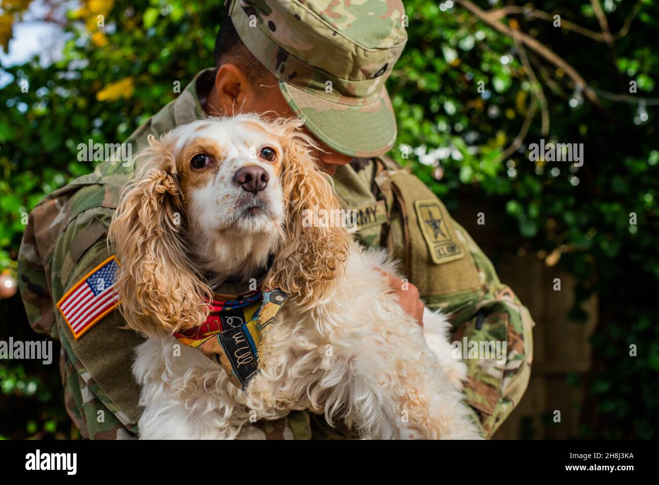Army private in fatigues in the autumn with rescue dog Stock Photo