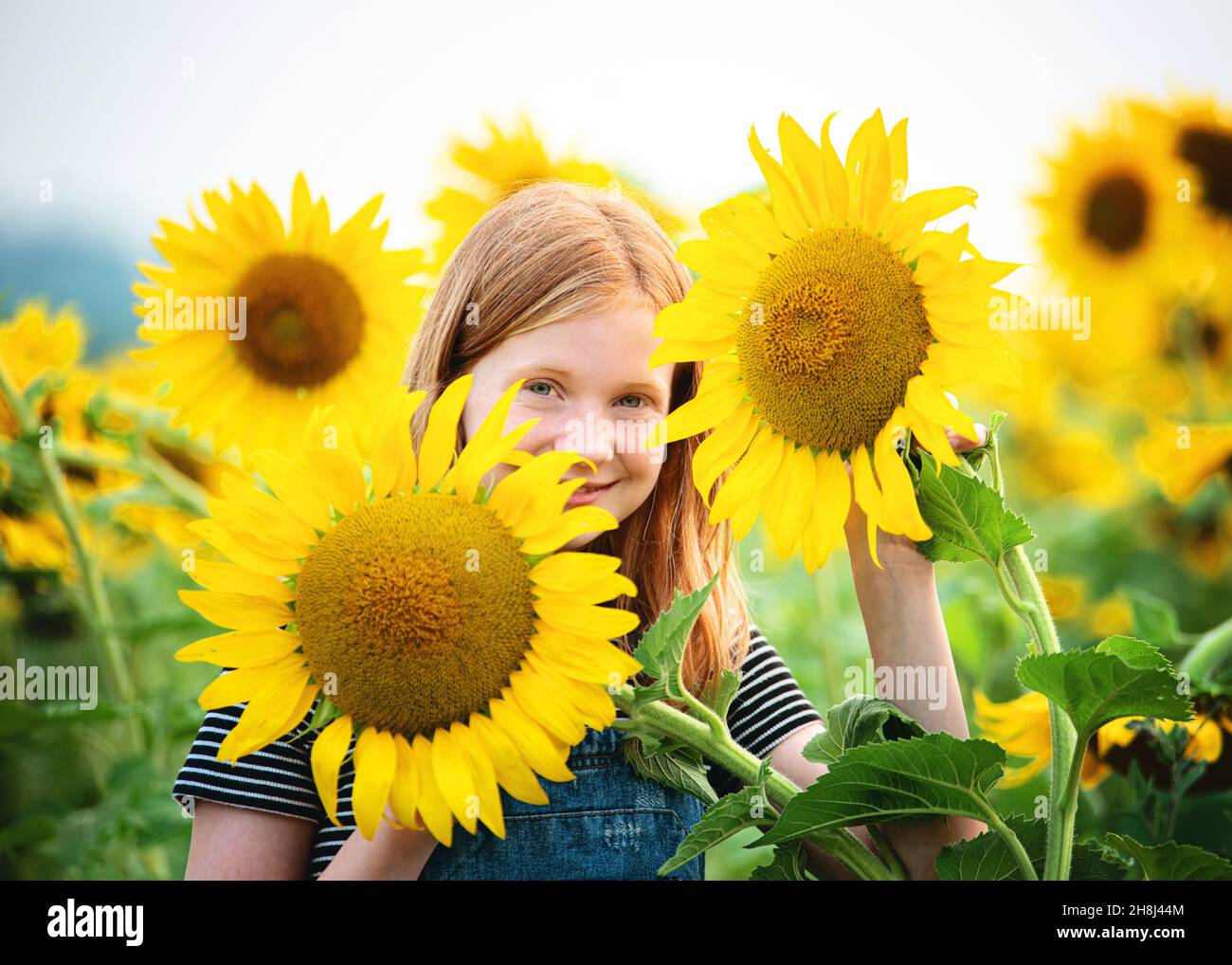 Happy tween girl in a sunflower field Stock Photo - Alamy