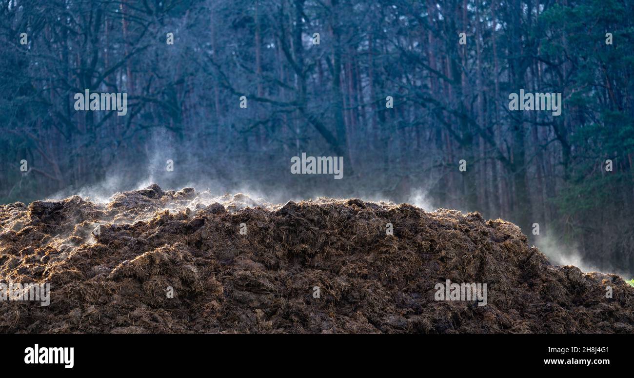 A pile of cow dung as a symbol of methane pollution of the atmosphere