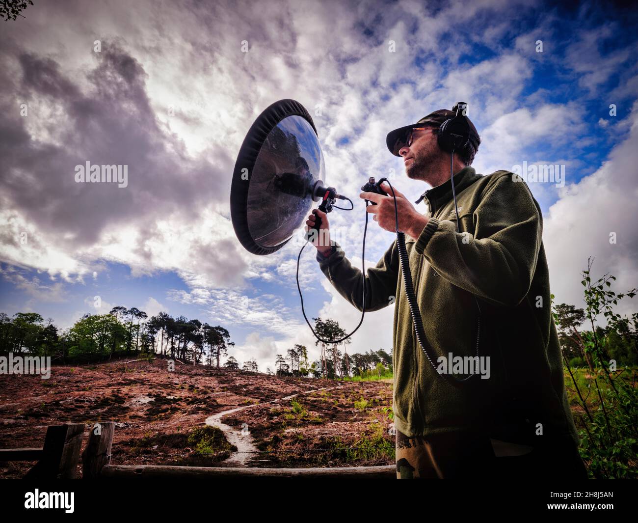 Parabolic reflector record birds hires stock photography and images