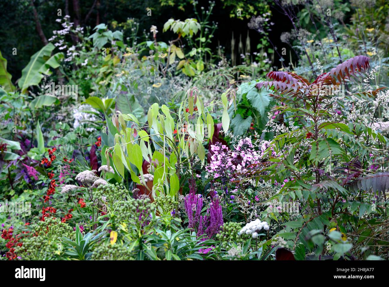 mixed bed,mixed border,deciduous shrubs,deciduous trees,perennials ...