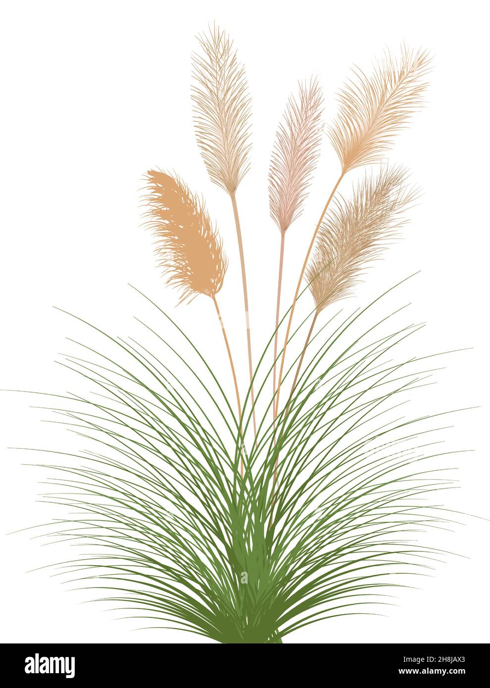 Planta seca para decoraci n, marco, fondo, impresi n de tela, textil retro, papel tapiz. Stock Vector