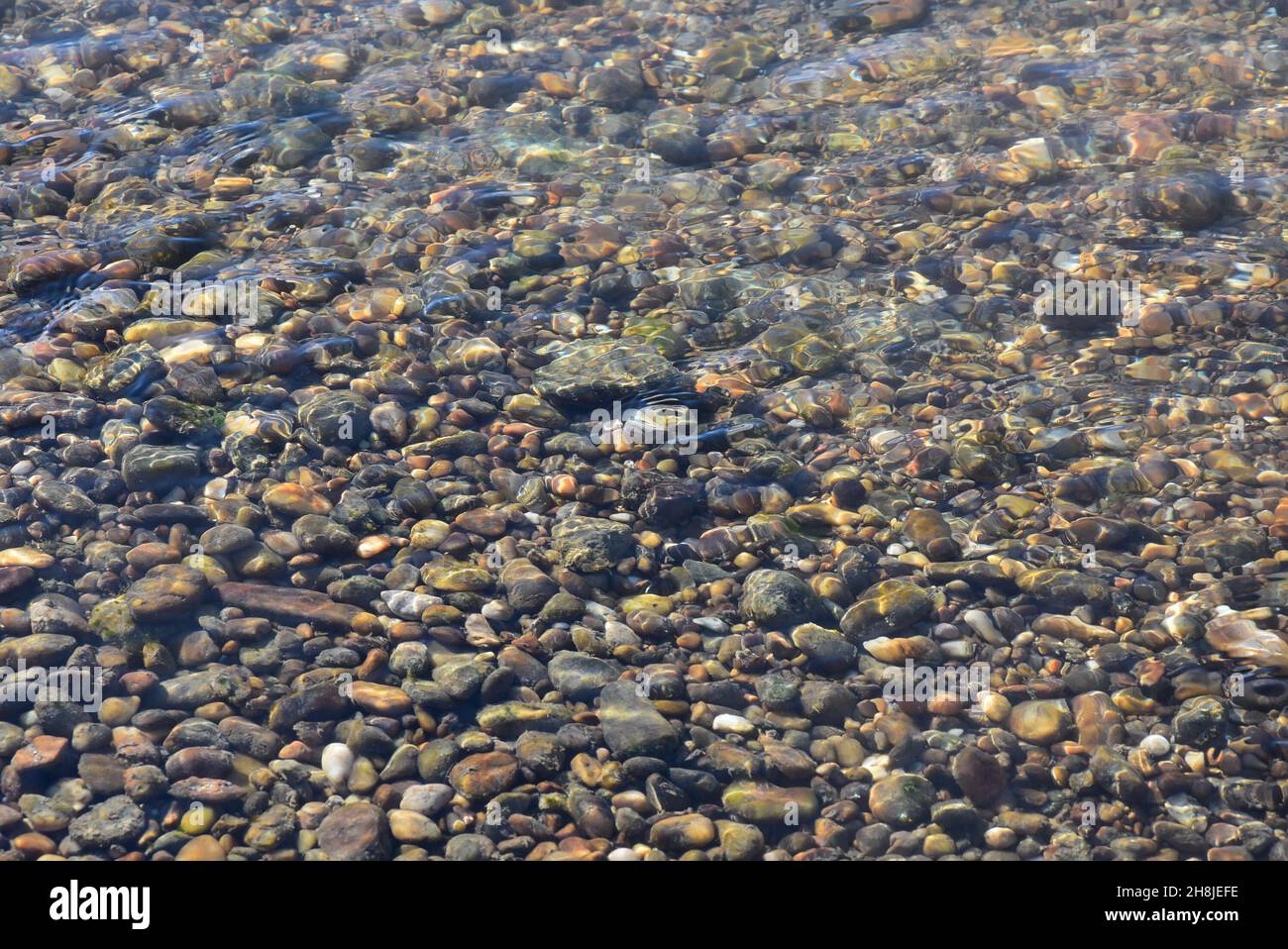 Closeup of Pebbles in a water river on a sunny day Stock Photo - Alamy