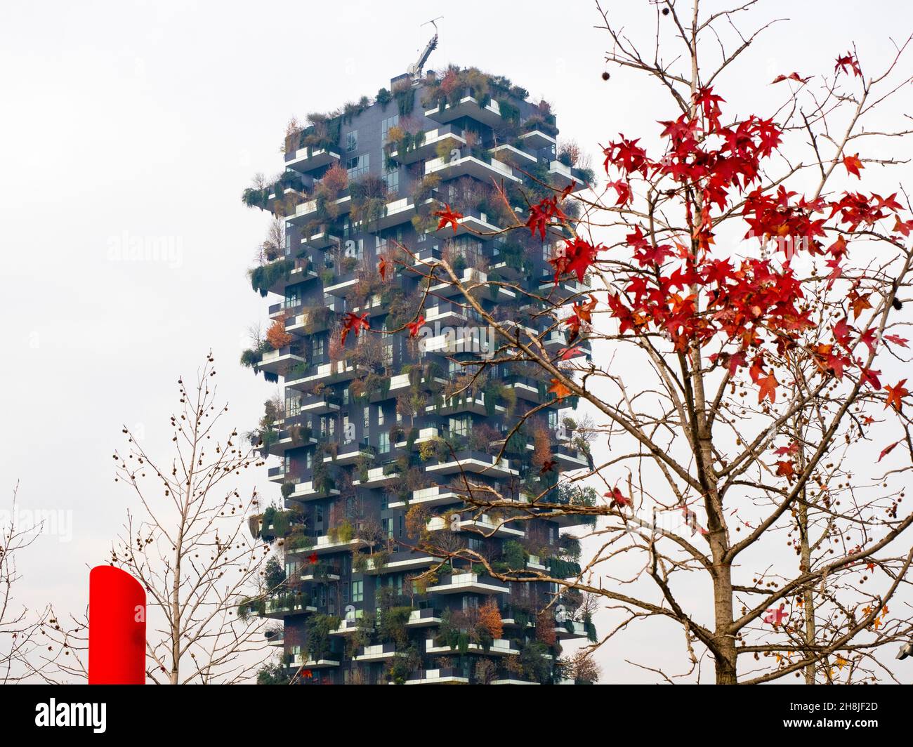 Milan, Lombardy, Italy. December 2019. Trees with autumn