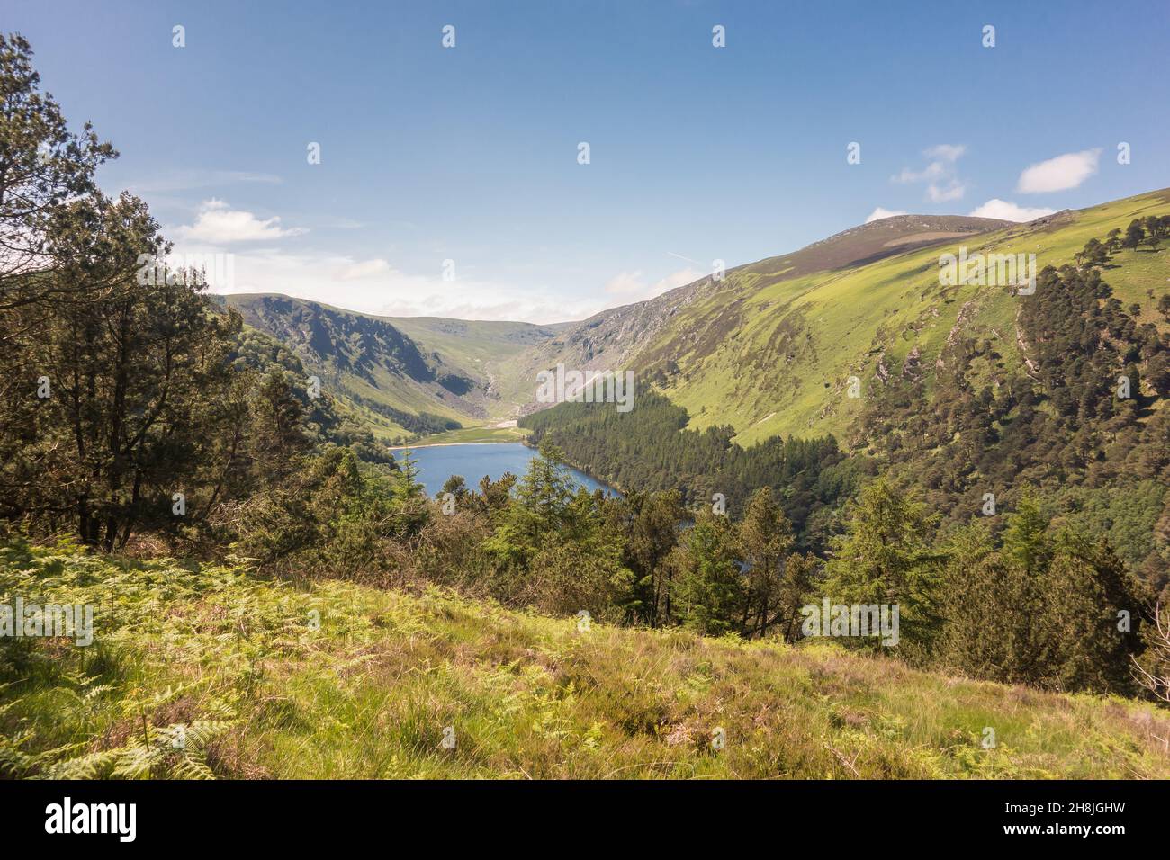 View looking down on the upper lake and woodland at Glendalough National Park, County Wicklow, Ireland. Stock Photo